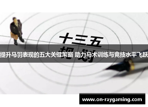 提升马羽表现的五大关键策略 助力马术训练与竞技水平飞跃