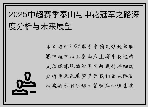 2025中超赛季泰山与申花冠军之路深度分析与未来展望